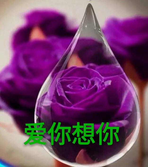 想念是一种习惯,在梦中都会着真实的体现,你想我吗,梦见过我吗