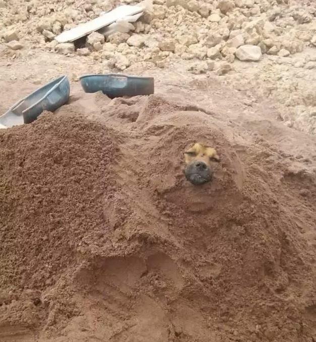沙子埋人搞笑图片