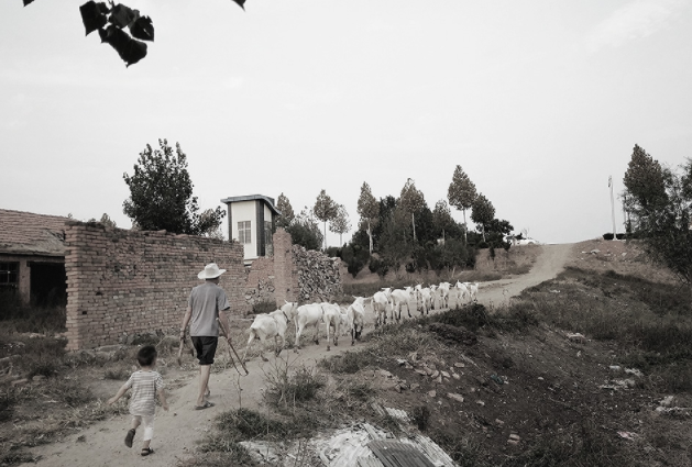 农民摄影师给儿子拍摄的日常生活背影照片