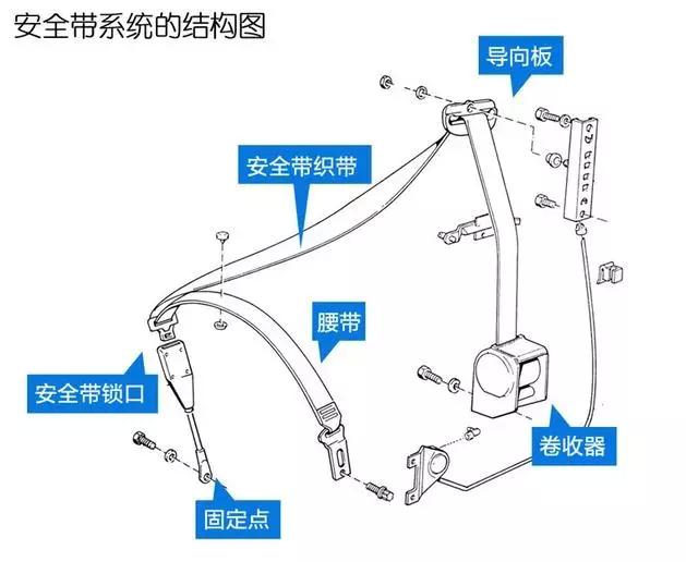 我刚知道!安全带竟然还需要保养?