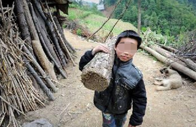 后妈逼继子辍学上山砍柴卖钱,花重金送女儿学