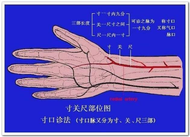 爷爷是老中医把脉可知宝宝性别简单方法一学就会