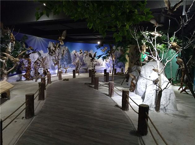 漯河神州鸟园 鸟标本馆即将开放