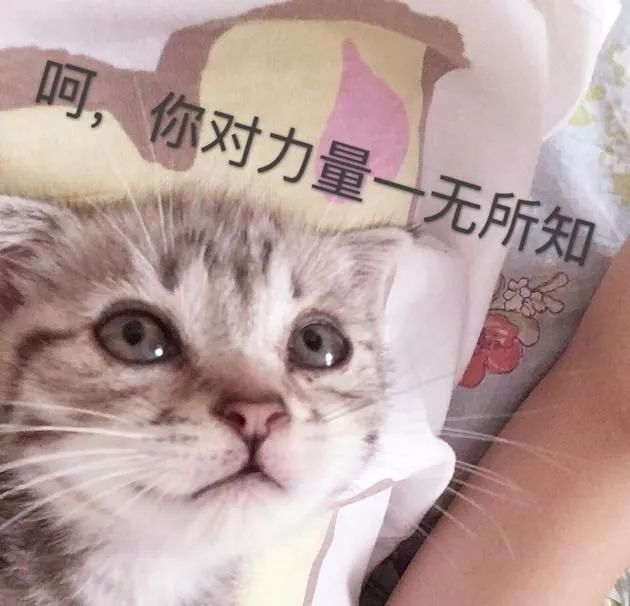 民间高手和职业选手到底谁更强那是你对力量还一无所知