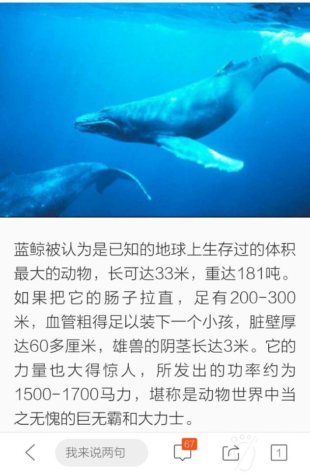 论:如何优雅的拒绝借款|优雅|借款|巨无霸_新浪新闻