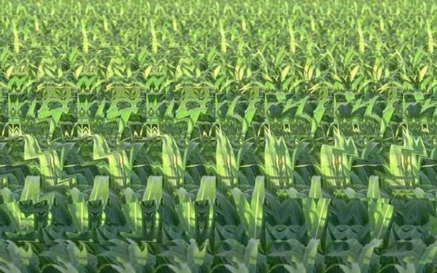 眼力测试:看似很普通的一幅画,它还是有隐藏了一些秘密