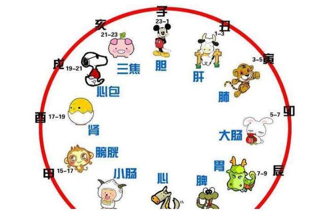 道家12时辰无病法,终于知道为什么要11点左右睡觉了!