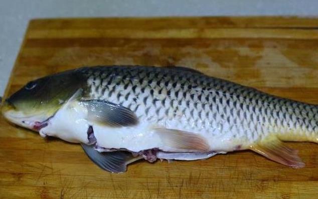 鱼刺|鱼|鲤鱼_新浪新闻