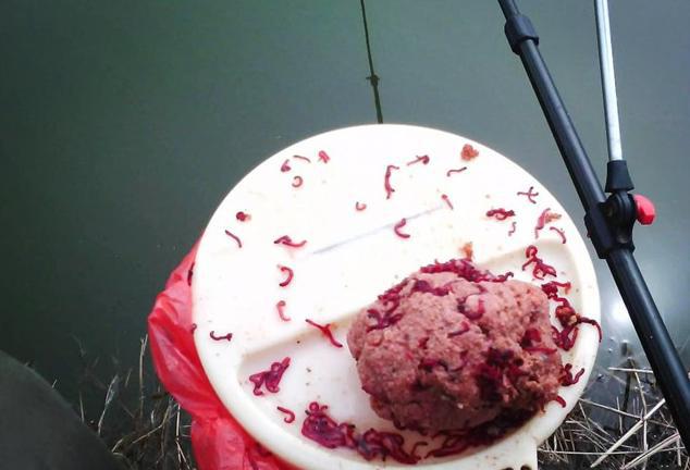 钓鱼红虫,用好了是饵中神器,用不好就废了!大多数人都并不会用