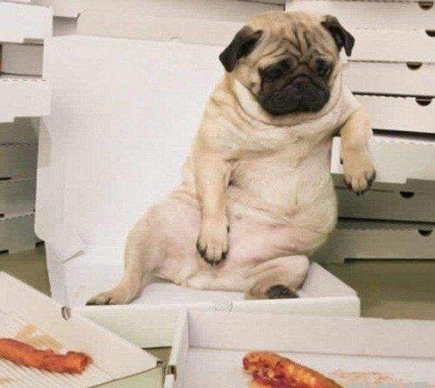 笑死人不偿命,搞笑图片来一波,专治不开心