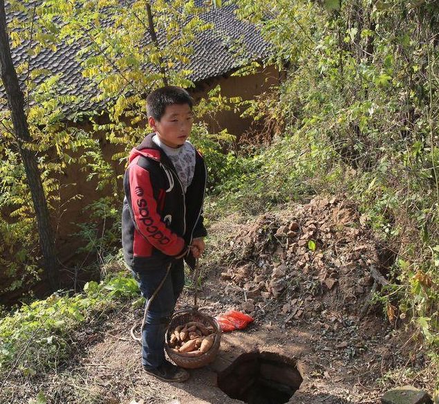 10岁小男孩帮大人地窖存红薯,路人想买几斤不卖,却送一袋子