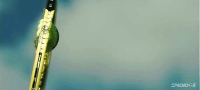 慢速世界有多美?15张慢动作摄影动图震撼你(一)