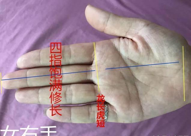 龙虎相配,事有所成2:三条婚姻线(多婚纹),拥有三条结婚线,无疑是心地