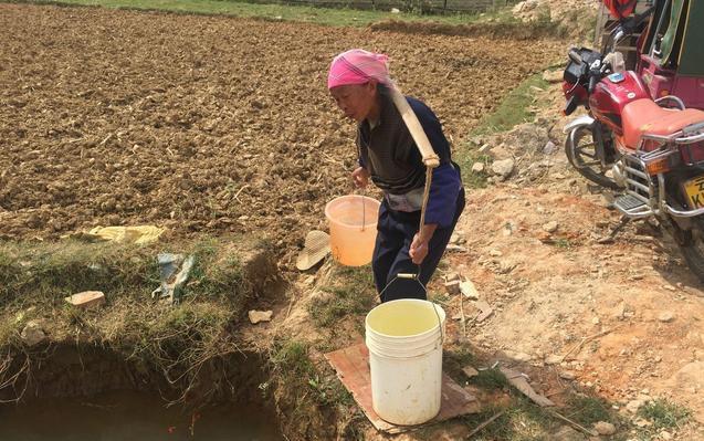 骇人听闻:老奶奶去河塘挑水舀起喝,可是盆里的虫子把全村人吓软