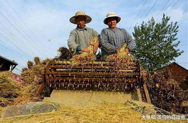 到大场院,人们的脸上全是笑意,伴着打稻机脱谷机马达那有节奏的交响曲