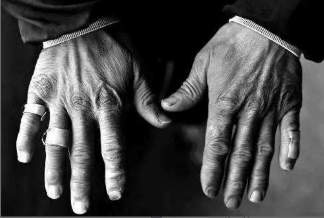 摄影作品里的父亲的手,粗糙,粗壮,为了子女受尽辛劳.