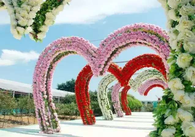 相约爱情玫瑰花园