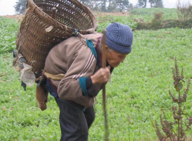 八旬老人孤苦伶仃住危房干农活