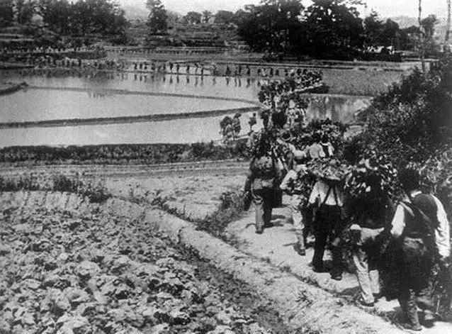 夜袭浒墅关: 四路人马围攻日军一小队, 日军山本队长被打成马蜂窝|鬼