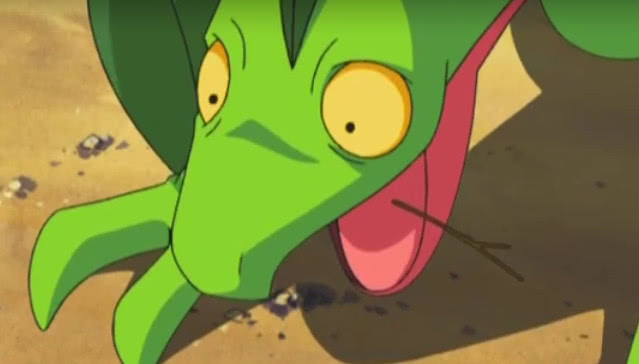 神奇宝贝小智的最强草系精灵蜥蜴王的黑历史你们都知道吗