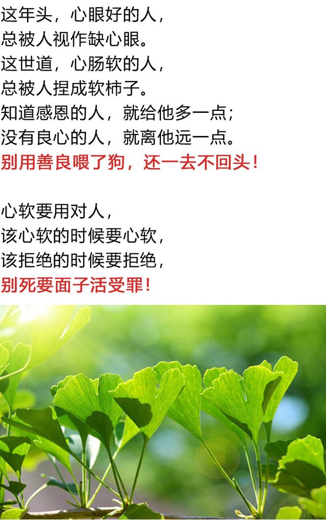 人心太软,下场太惨,老实人都该看看!(人生感悟)