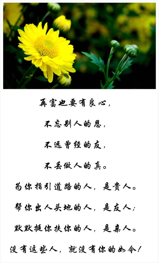 人在做,天在看,再穷,不坑朋友;再富,不忘恩人!