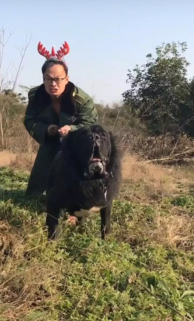 圣诞大叔骑大狗来送礼物这圣诞节宁愿不过了