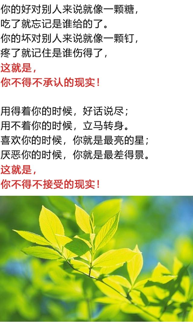 人心太软,下场太惨,老实人都该看看!(人生感悟)