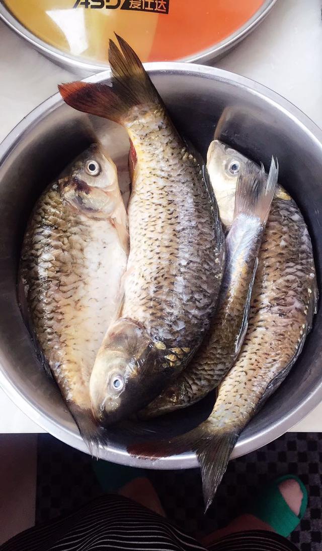 用这个方法炖的鱼,不仅不粘锅而且味道鲜美!