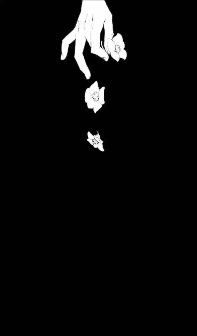 每日壁纸|黑色星期天