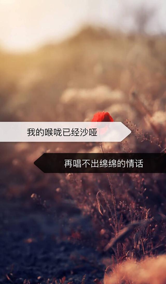 手机壁纸,文字写的有意义:若无相欠,怎会相见