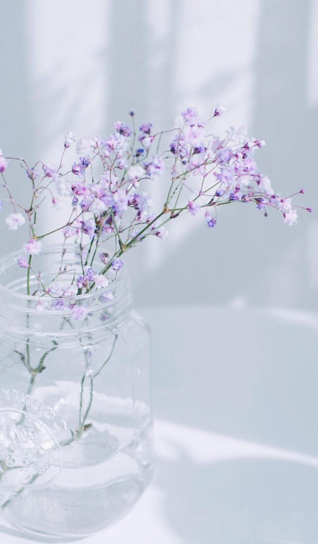 超清新温暖的手机壁纸