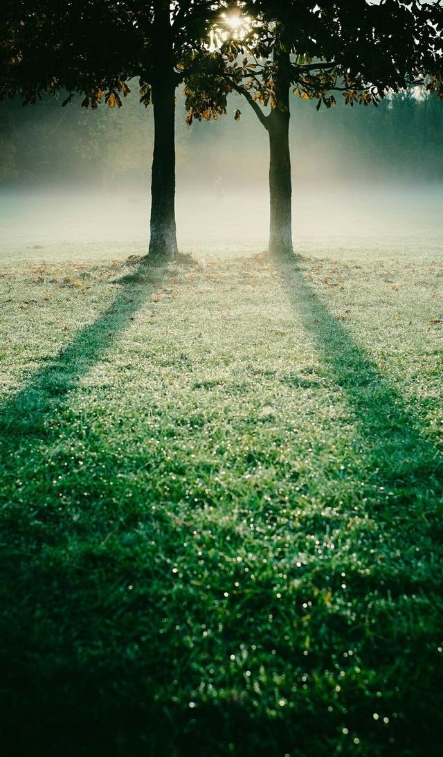 壁纸路透社oppor11s精选hd超清原图壁纸合集