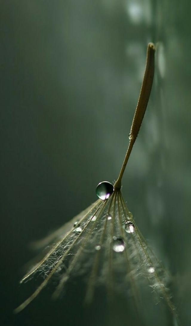 壁纸路透社oppor11s精选hd超清原图壁纸合集