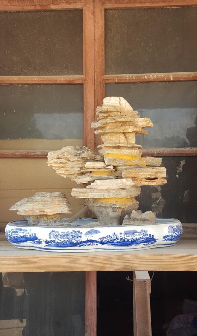 千层石小假山盆景总有一款你钟情——老贾假山