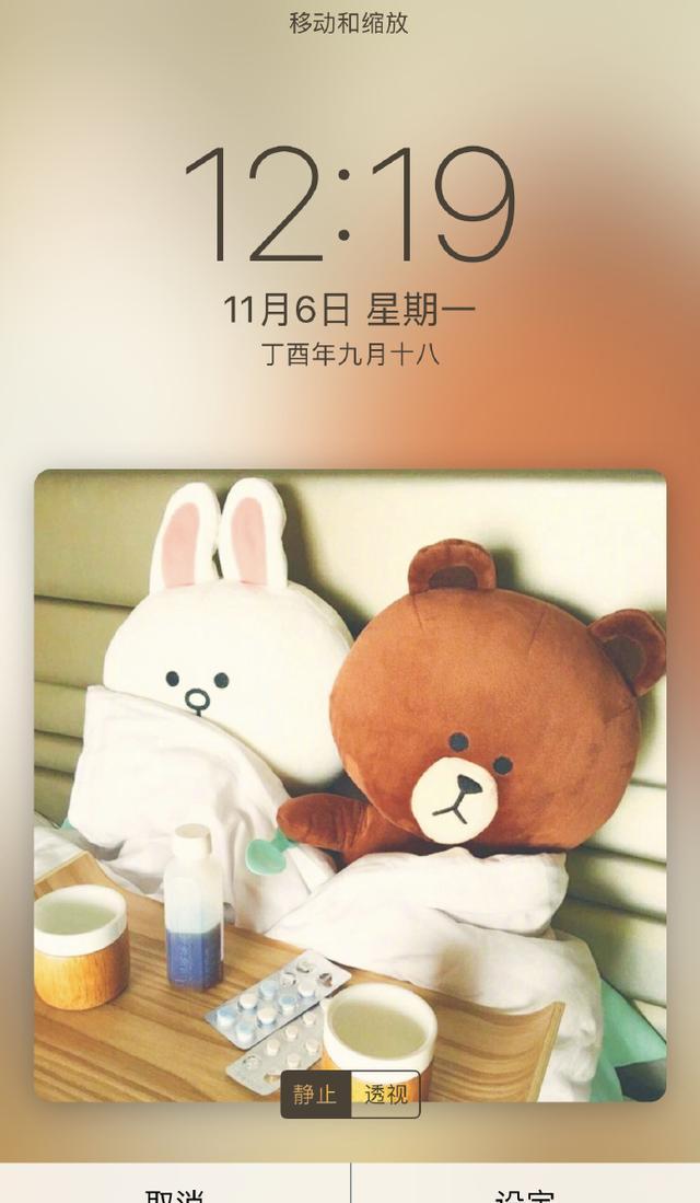 一组超级萌的布朗熊手机壁纸