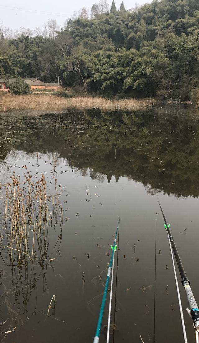 早上5点起床,钓鱼人的苦外行真的不懂,但是我们苦并快乐着,太阳已经在