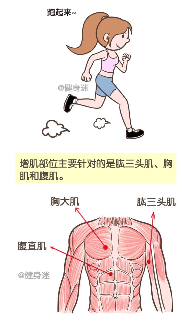 有些人随便练练就能练出六块腹肌为什么我练了一个月也没效果