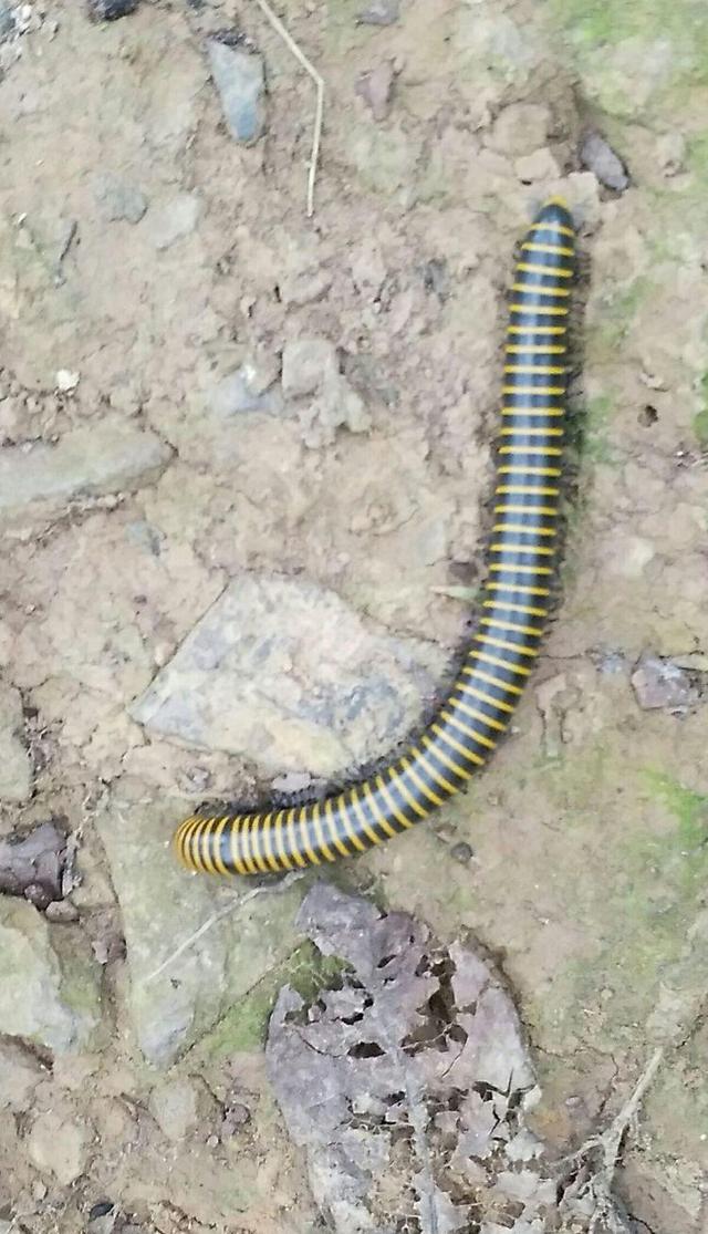 铜陵视角秋日登笔架山