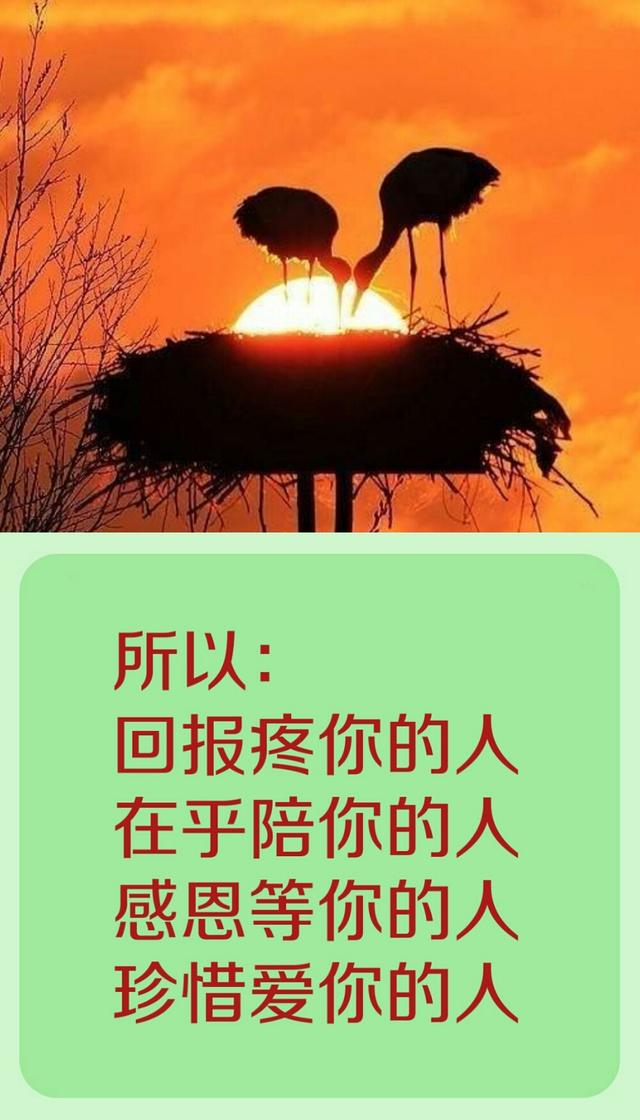 珍惜爱你的人,感恩等你的人,在乎陪你的人.