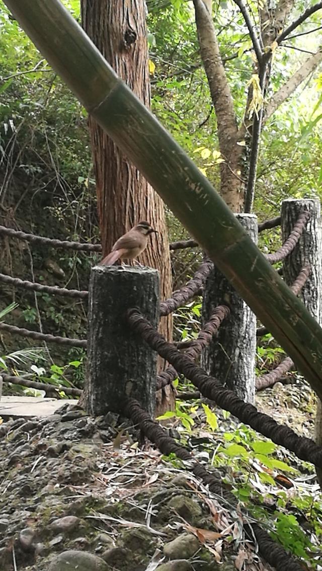 一日两景区观千佛山游剑门蜀道剑门关
