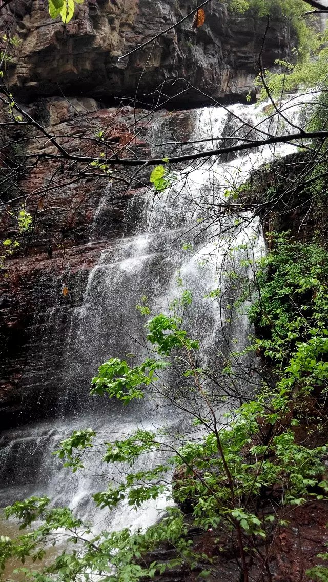 三八妇女节,免费游伏羲山!