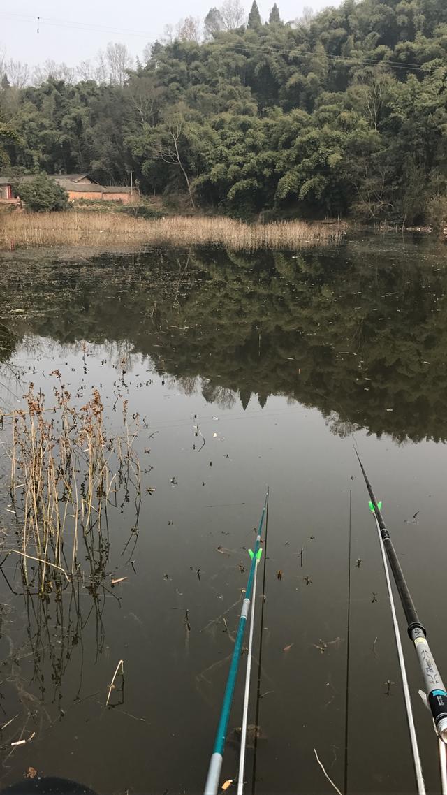 蚯蚓|饵料|钓鱼人_新浪新闻