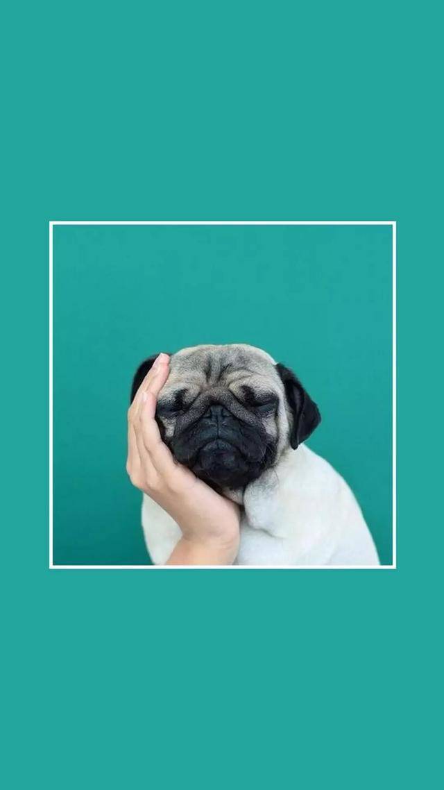 考了个三本学校,是上大学还是复读?