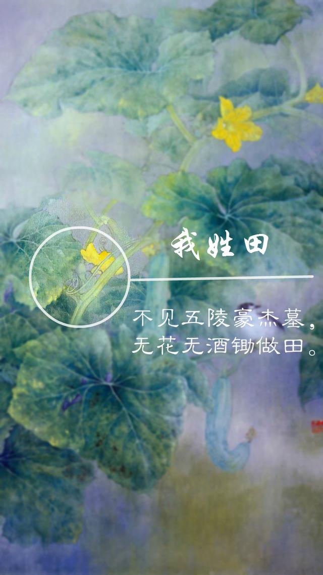 姓氏壁纸一人一姓氏一句一古诗