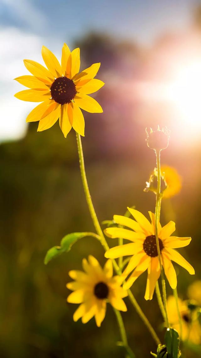 短句子暖心治愈系励志正能量