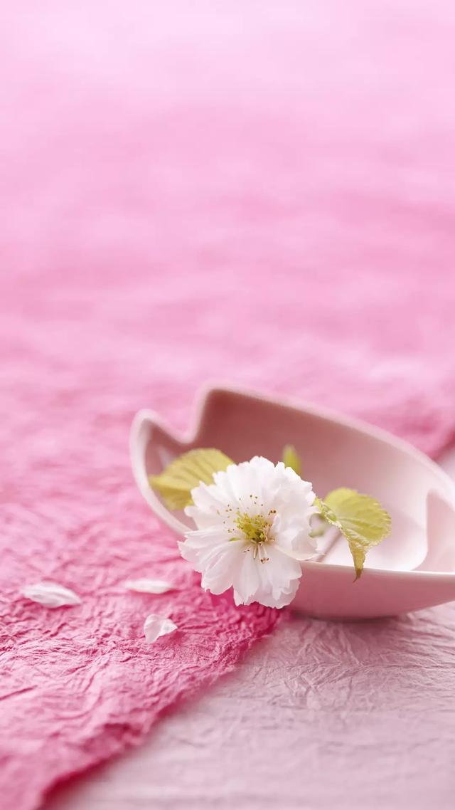 简短句子--小清新,治愈系,正能量