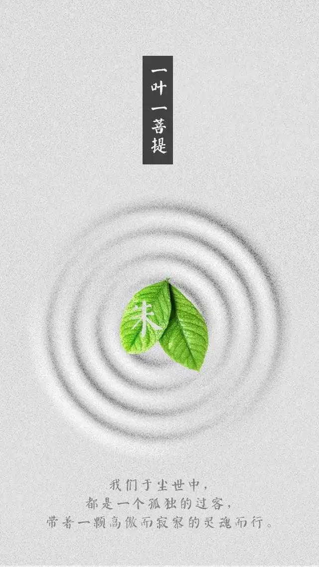 以你的姓氏做你的壁纸一沙一世界一叶一菩提就是这么佛系