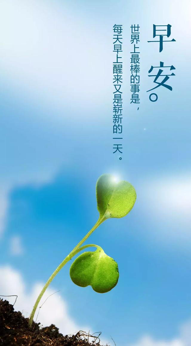 早上好正能量经典语录