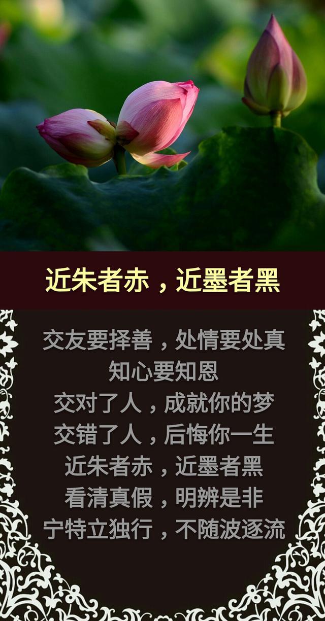 不交挑拨离间的人,不交谎话连篇的人.无牵无挂,顺其自然.